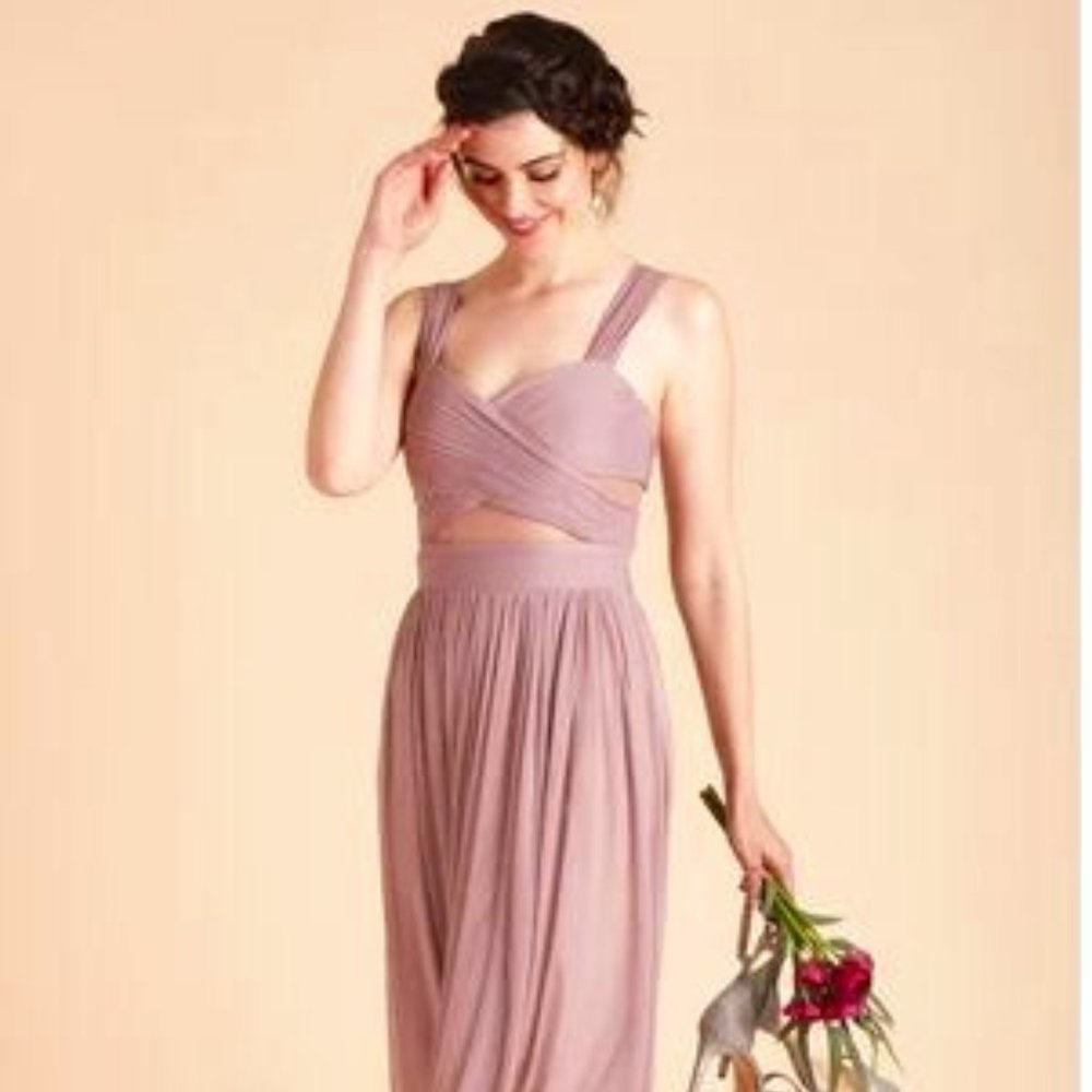 Birdy Grey Elsye Dress in Mauve S and M